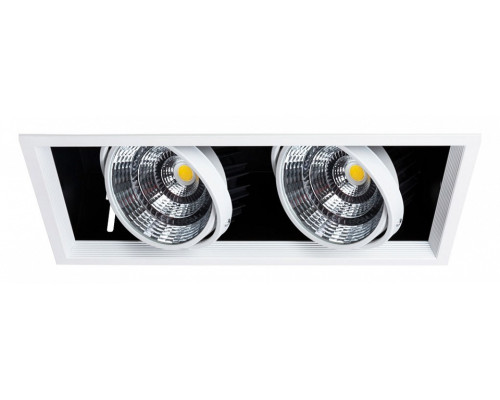 Встраиваемый светильник Arte Lamp Merga A8450PL-2WH Встраиваемый светильник Arte Lamp Merga A8450PL-2WH