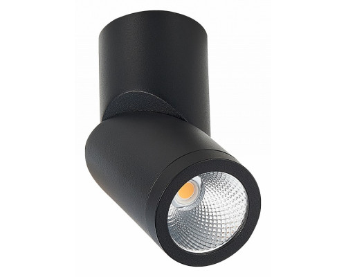Светильник на штанге ST-Luce ST650 ST650.432.10 Светильник на штанге ST-Luce ST650 ST650.432.10