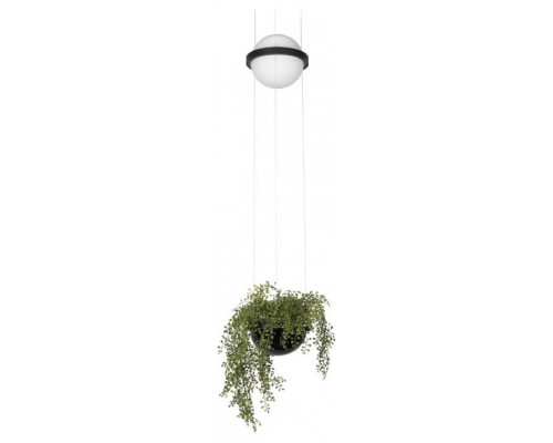 Подвесной светильник Loft it Jardin 10121/B Подвесной светильник Loft it Jardin 10121/B