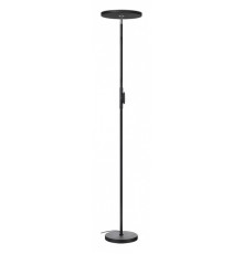 Торшер Lussole Carmel LSP-0901
