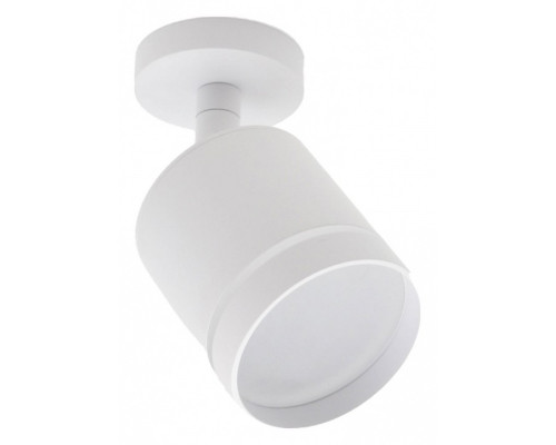 Спот Escada 20009 20009SMA/02LED SWH Спот Escada 20009 20009SMA/02LED SWH