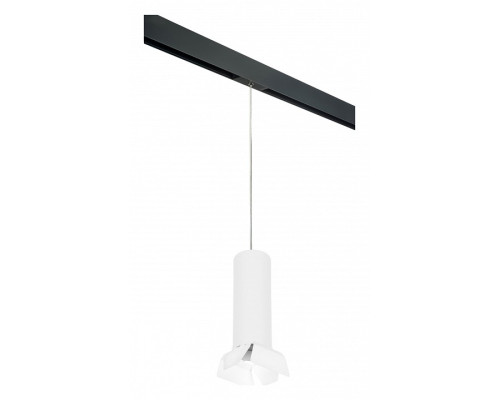 Подвесной светильник Lightstar Rullo PRORP6496486 Подвесной светильник Lightstar Rullo PRORP6496486