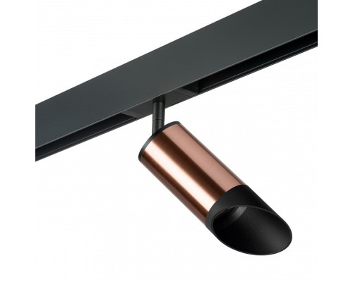Светильник на штанге Lightstar Rullo PRO43037 Светильник на штанге Lightstar Rullo PRO43037