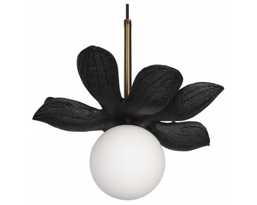 Подвесной светильник Loft it Monro 10213/B Black Подвесной светильник Loft it Monro 10213/B Black