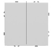 Выключатель двухклавишный без рамки Stekker RSW10-5104-01 49866