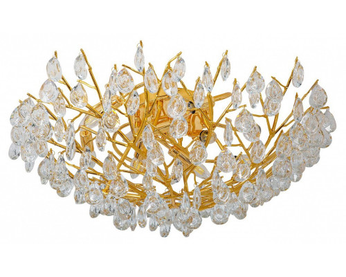 Потолочная люстра Favourite Pluvia 4162-10C Потолочная люстра Favourite Pluvia 4162-10C