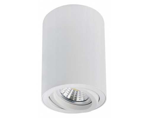 Накладной светильник Arte Lamp Sentry A1566PL-1WH Накладной светильник Arte Lamp Sentry A1566PL-1WH