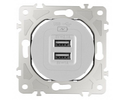 Розетка USB, без рамки Arte Milano am-202 202.46-1.silver Розетка USB, без рамки Arte Milano am-202 202.46-1.silver