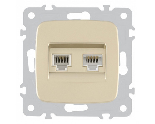Розетка двойная RJ-11 и Ethernet RJ-45, без рамки Arte Milano am-205 205.44-1.shampan Розетка двойная RJ-11 и Ethernet RJ-45, без рамки Arte Milano am-205 205.44-1.shampan