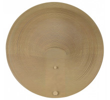 Накладной светильник ST-Luce Fossil SL6900.501.16