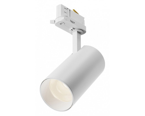 Светильник на штанге Maytoni Focus Led TR197-3-20WCCT-M-W Светильник на штанге Maytoni Focus Led TR197-3-20WCCT-M-W