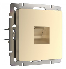 Розетка Ethernet RJ-45 без рамки Werkel шампань W1181011