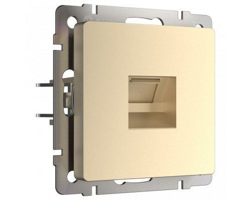 Розетка Ethernet RJ-45 без рамки Werkel шампань W1181011 Розетка Ethernet RJ-45 без рамки Werkel шампань W1181011