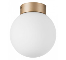 Накладной светильник Lightstar Globo 812013