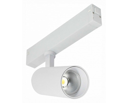 Светильник на штанге ST-Luce ST660 ST660.596.20 Светильник на штанге ST-Luce ST660 ST660.596.20