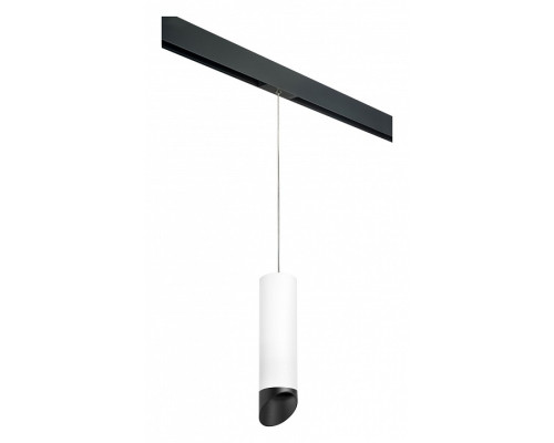 Подвесной светильник Lightstar Rullo PRORP649687 Подвесной светильник Lightstar Rullo PRORP649687
