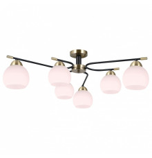 Потолочная люстра ILLUMICO LIBRA IL0638-6CSQ-24 AB BK LIBRA