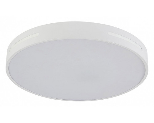 Накладной светильник Natali Kovaltseva Modern LED LAMPS 81332 Накладной светильник Natali Kovaltseva Modern LED LAMPS 81332