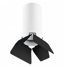 Накладной светильник Lightstar Rullo R486437