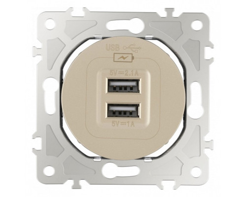 Розетка USB, без рамки Arte Milano am-202 202.46-1.shampan Розетка USB, без рамки Arte Milano am-202 202.46-1.shampan