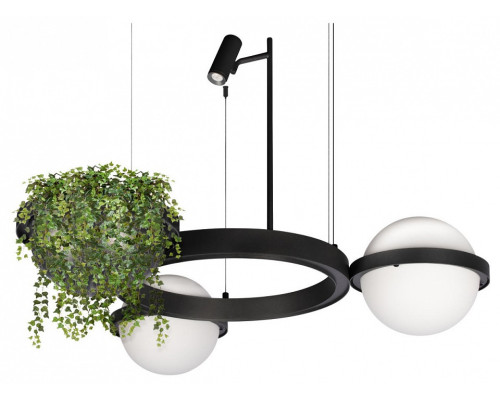 Подвесной светильник Loft it Jardin 10121/2 Подвесной светильник Loft it Jardin 10121/2