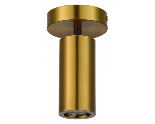 Светильник на штанге ST-Luce Talia SL1215.402.01 Светильник на штанге ST-Luce Talia SL1215.402.01