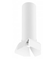 Накладной светильник Lightstar Rullo R496436