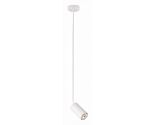 Светильник на штанге ST-Luce Sormano SL1206.503.01 Светильник на штанге ST-Luce Sormano SL1206.503.01