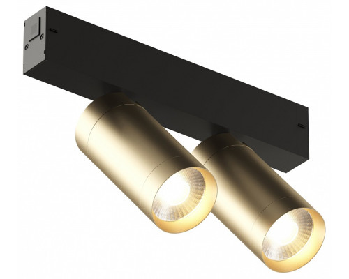 Светильник на штанге Denkirs Smart DK8012-BG Светильник на штанге Denkirs Smart DK8012-BG