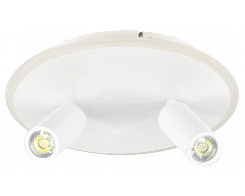 Светильник на штанге Escada 20046LED 20046SMA/02LED WH Светильник на штанге Escada 20046LED 20046SMA/02LED WH