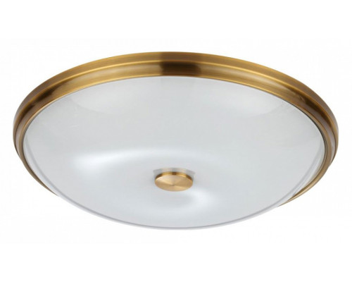 Накладной светильник Odeon Light Pelow 4956/5 Накладной светильник Odeon Light Pelow 4956/5