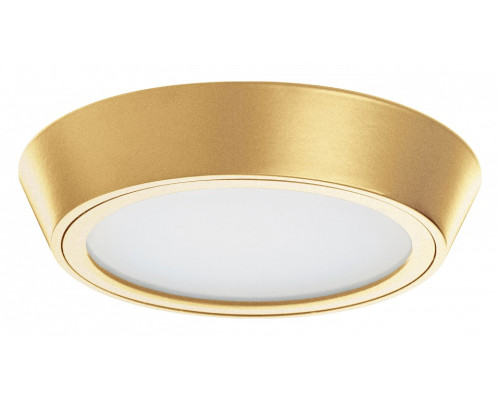 Накладной светильник Lightstar Urbano 214932 Накладной светильник Lightstar Urbano 214932
