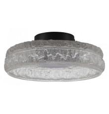 Накладной светильник ST-Luce ANTIKE SL6143.402.01