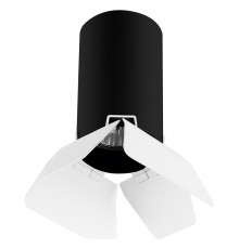 Накладной светильник Lightstar Rullo R437436