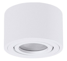Накладной светильник Arte Lamp Unito A0550PL-1WH