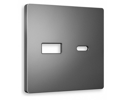 Накладка для розетки type A и C Ambrella Volt Quant AP6610 Накладка для розетки type A и C Ambrella Volt Quant AP6610