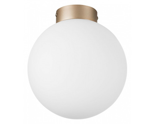 Накладной светильник Lightstar Globo 812023 Накладной светильник Lightstar Globo 812023