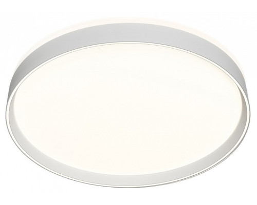 Накладной светильник Denkirs PLATO DK6511-WH/1 Накладной светильник Denkirs PLATO DK6511-WH/1