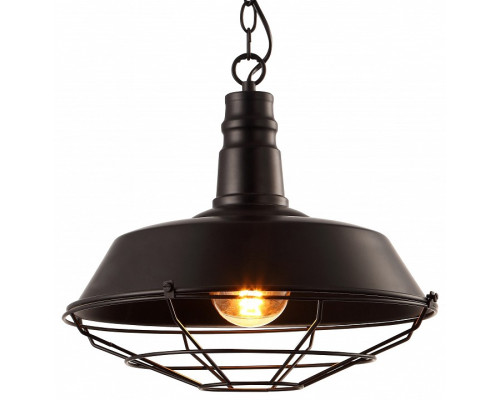 Подвесной светильник Arte Lamp Pandora A9183SP-1BK Подвесной светильник Arte Lamp Pandora A9183SP-1BK