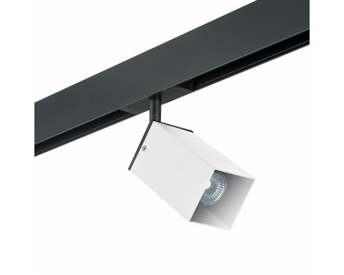 Светильник на штанге Lightstar Rullo PRO216586 Светильник на штанге Lightstar Rullo PRO216586
