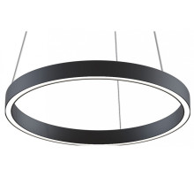 Подвесной светильник Maytoni Rim MOD058PL-L22BK