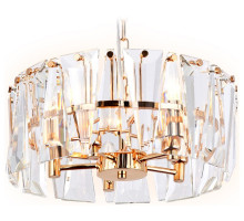 Подвесной светильник Ambrella Light TR TR5167
