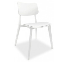 Стул SHT-S110-P