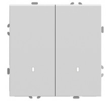 Выключатель двухклавишный с подсветкой без рамки Stekker RSW10-5102-01 49864