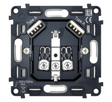 Механизм розетки с заземлением и 2хUSB type A Ambrella Volt Quant VM155