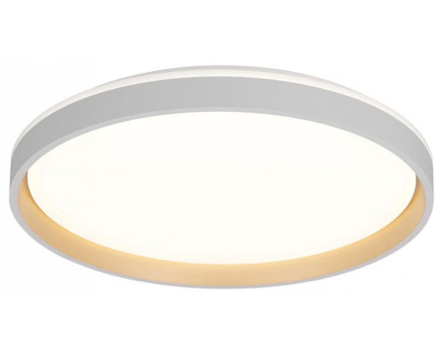 Накладной светильник Citilux ENZO CL753510G Накладной светильник Citilux ENZO CL753510G