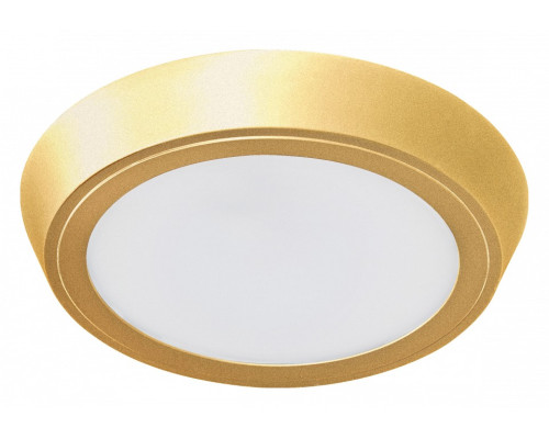 Накладной светильник Lightstar Urbano 216932 Накладной светильник Lightstar Urbano 216932