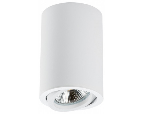 Накладной светильник Lightstar Rullo 214406 Накладной светильник Lightstar Rullo 214406