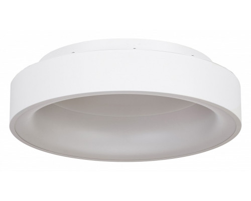 Накладной светильник MyFar Shannon MR2194-1PL Накладной светильник MyFar Shannon MR2194-1PL