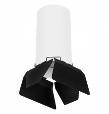 Накладной светильник Lightstar Rullo R6486487